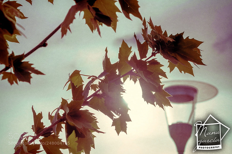 Nikon D90 sample photo. Farola photography
