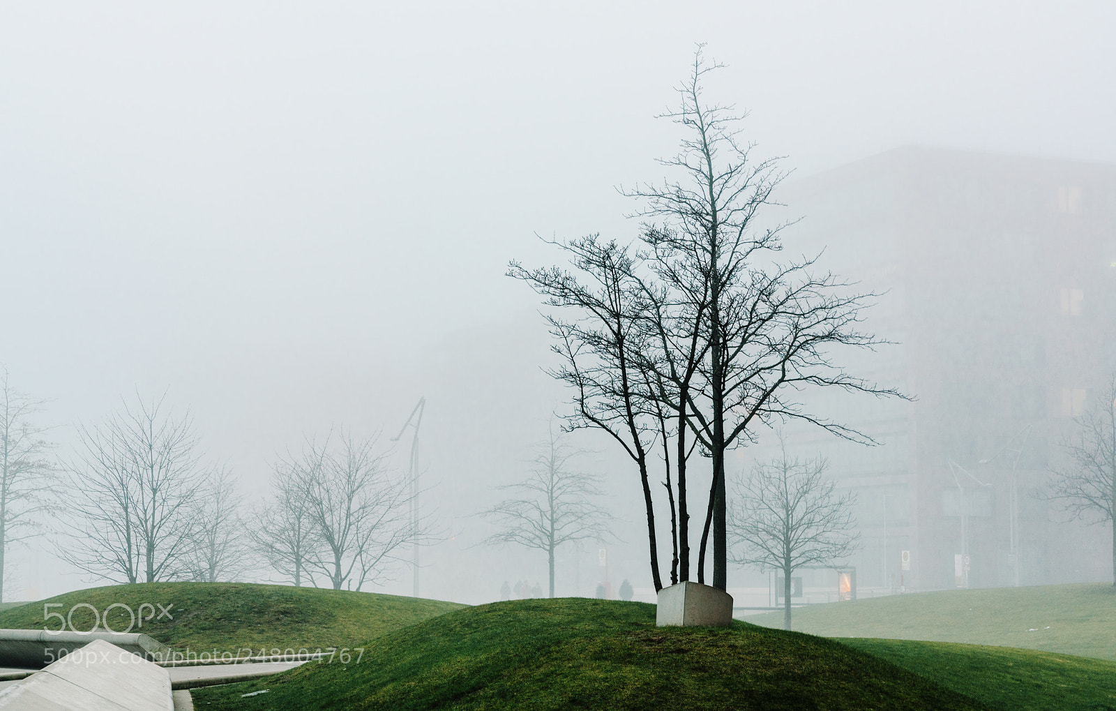 Sony a7R II sample photo. A cold and misty photography