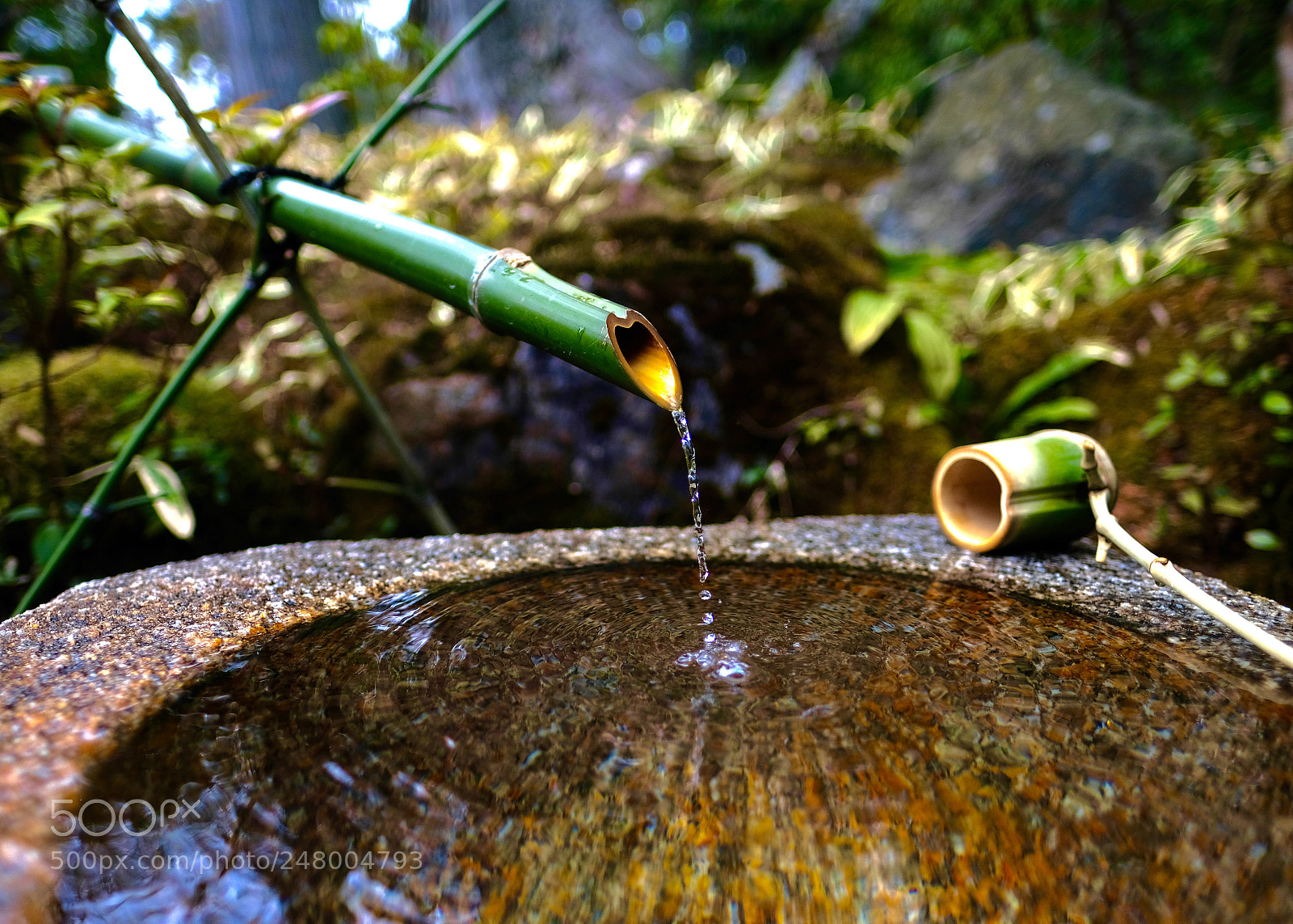 Fujifilm X-Pro2 sample photo. 金阁寺的水 photography