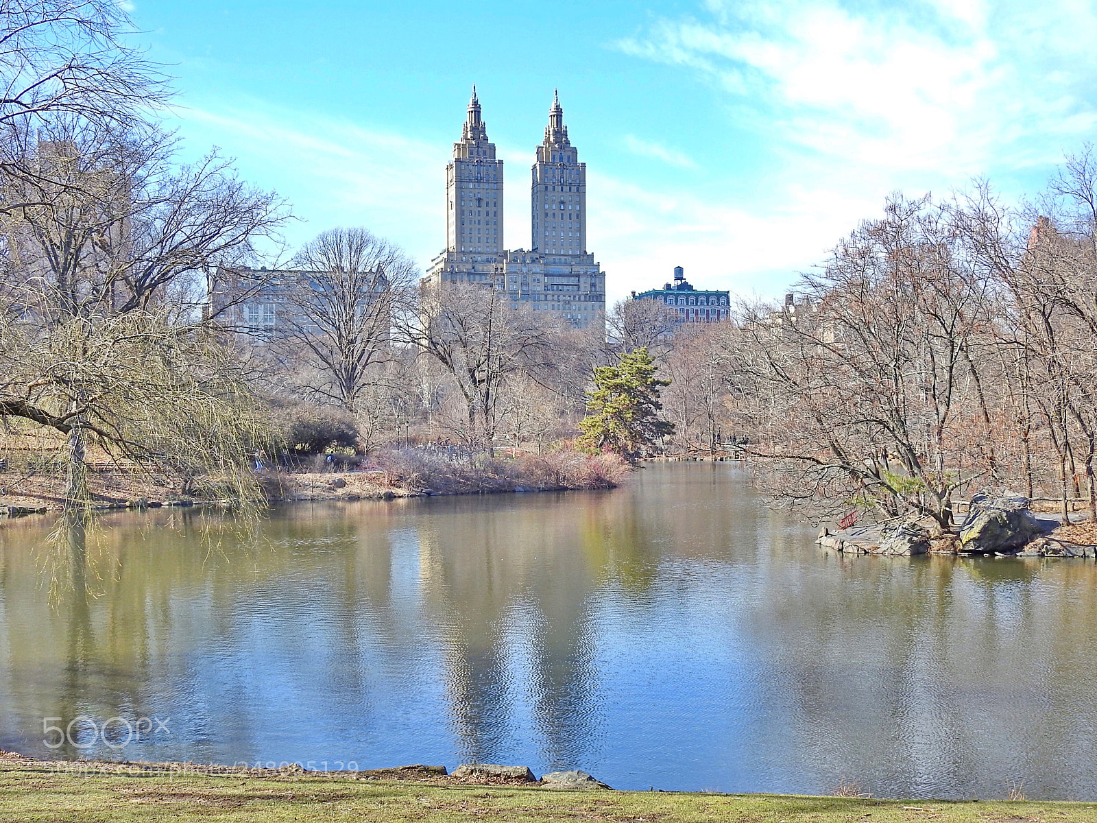 Nikon Coolpix P900 sample photo. Central park, nyc photography