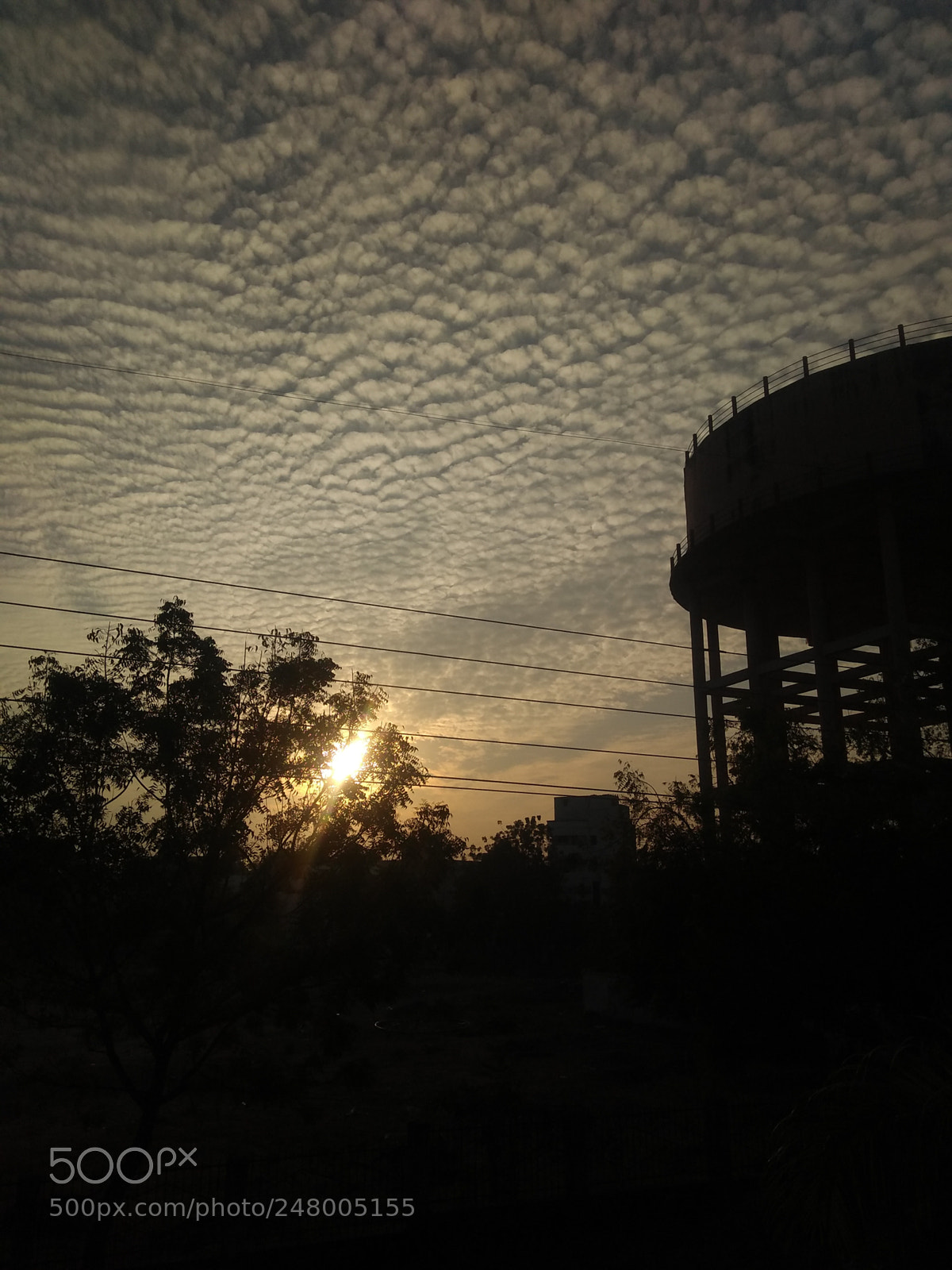 Motorola Moto G (5S) Plus sample photo. Untitled photography