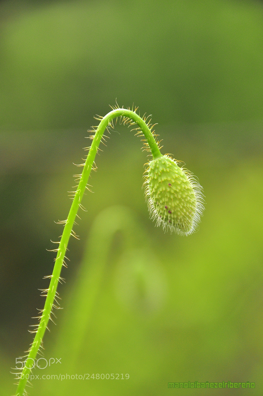 Nikon D90 sample photo. C o photography