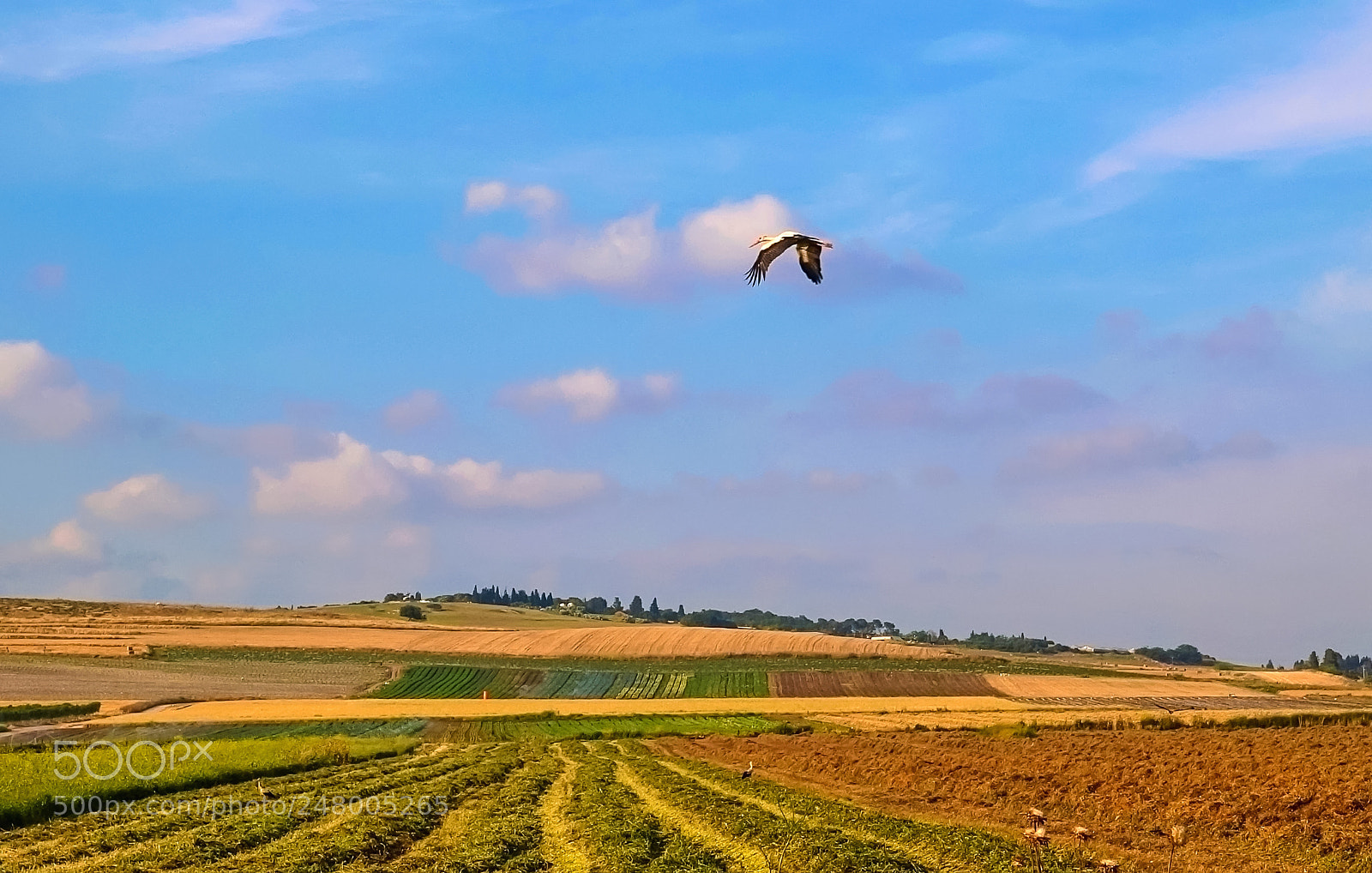 Olympus E-3 sample photo. Is above the valley. photography