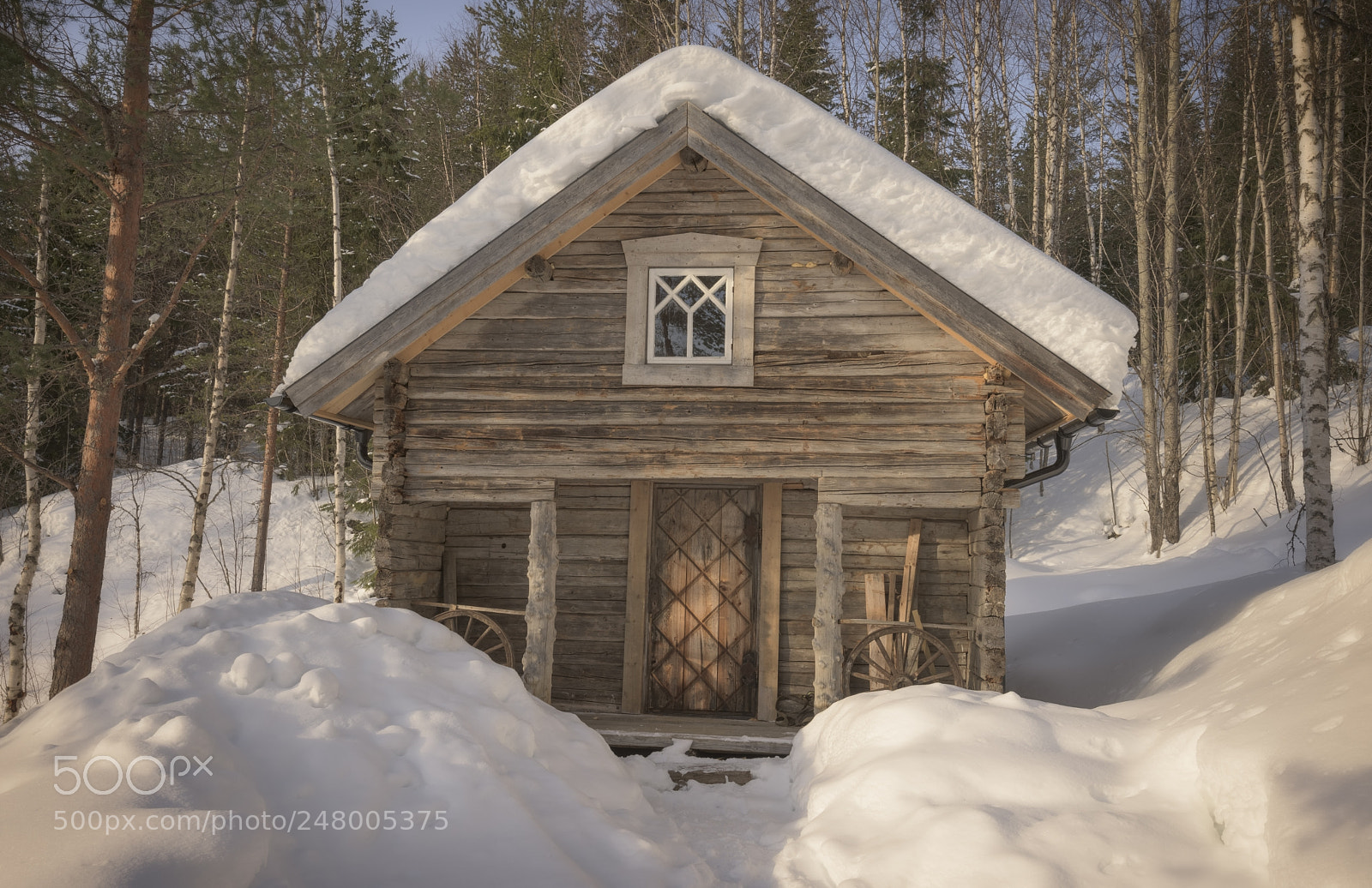 Nikon D810 sample photo. Abandoned house in an photography