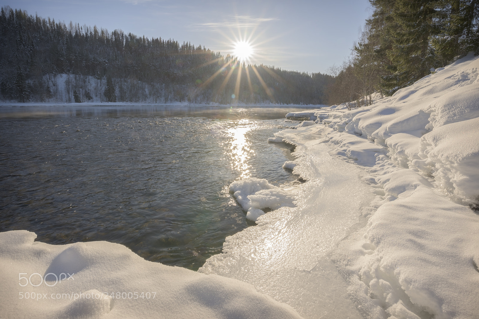 Nikon D810 sample photo. Sun beams in swedish photography