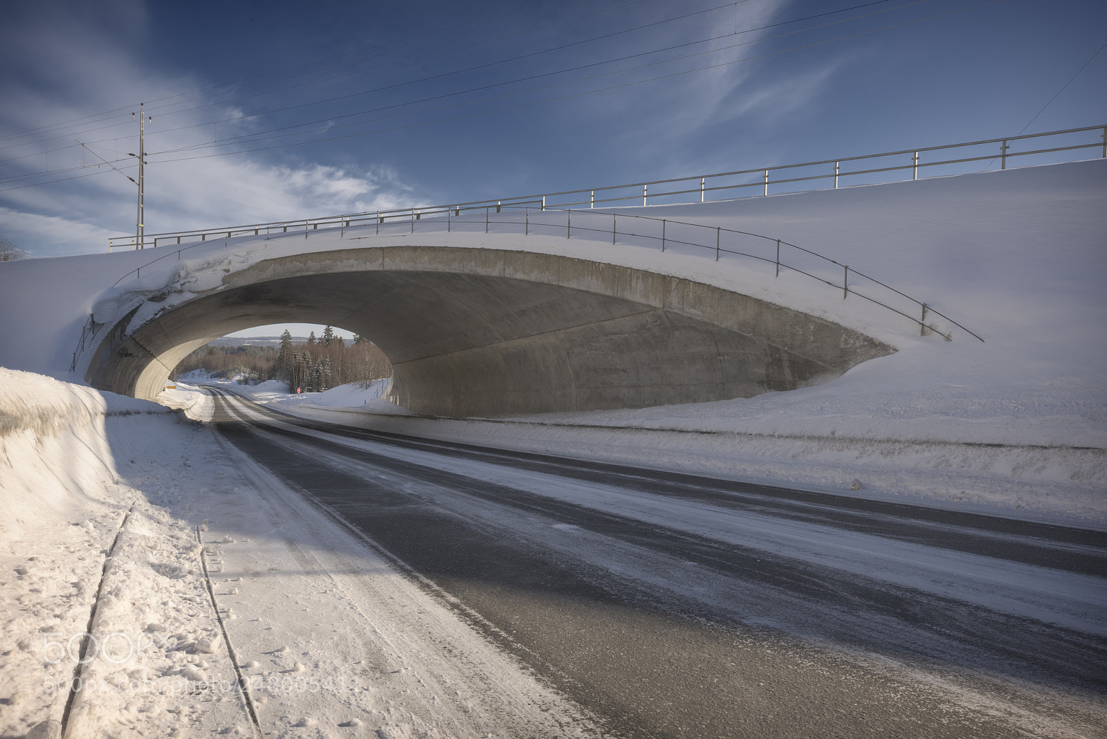Nikon D810 sample photo. Road with tunnel in photography