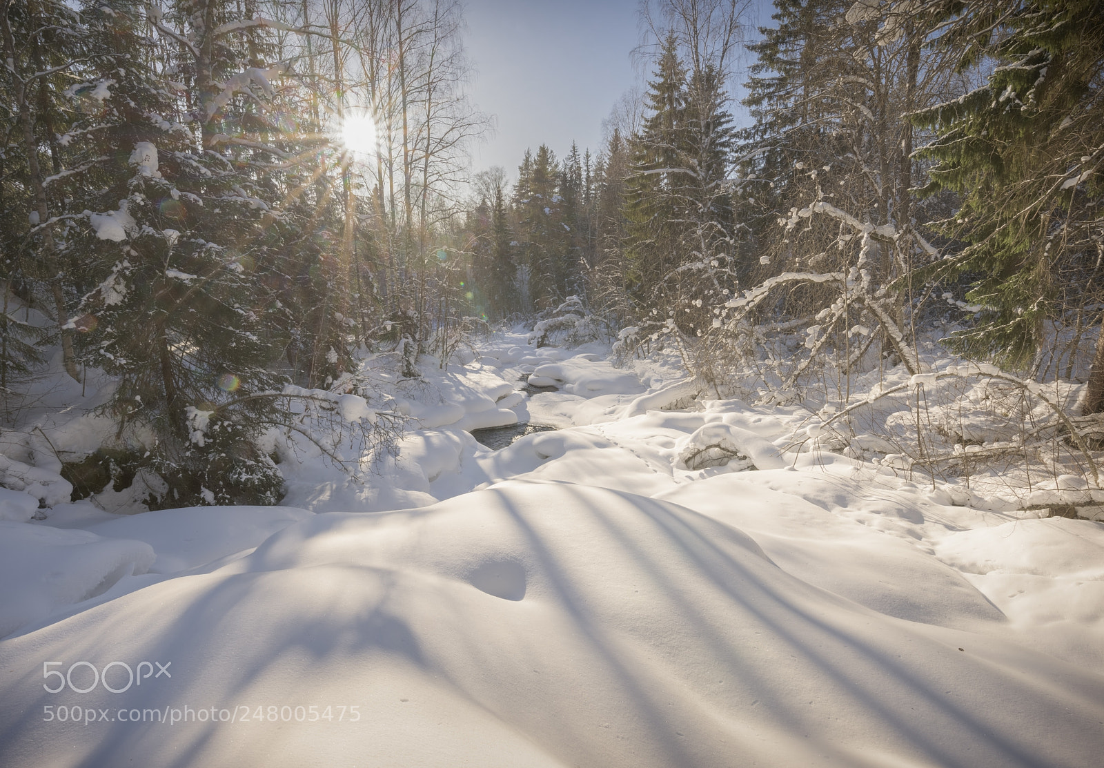 Nikon D810 sample photo. Swedish winter river landscape photography