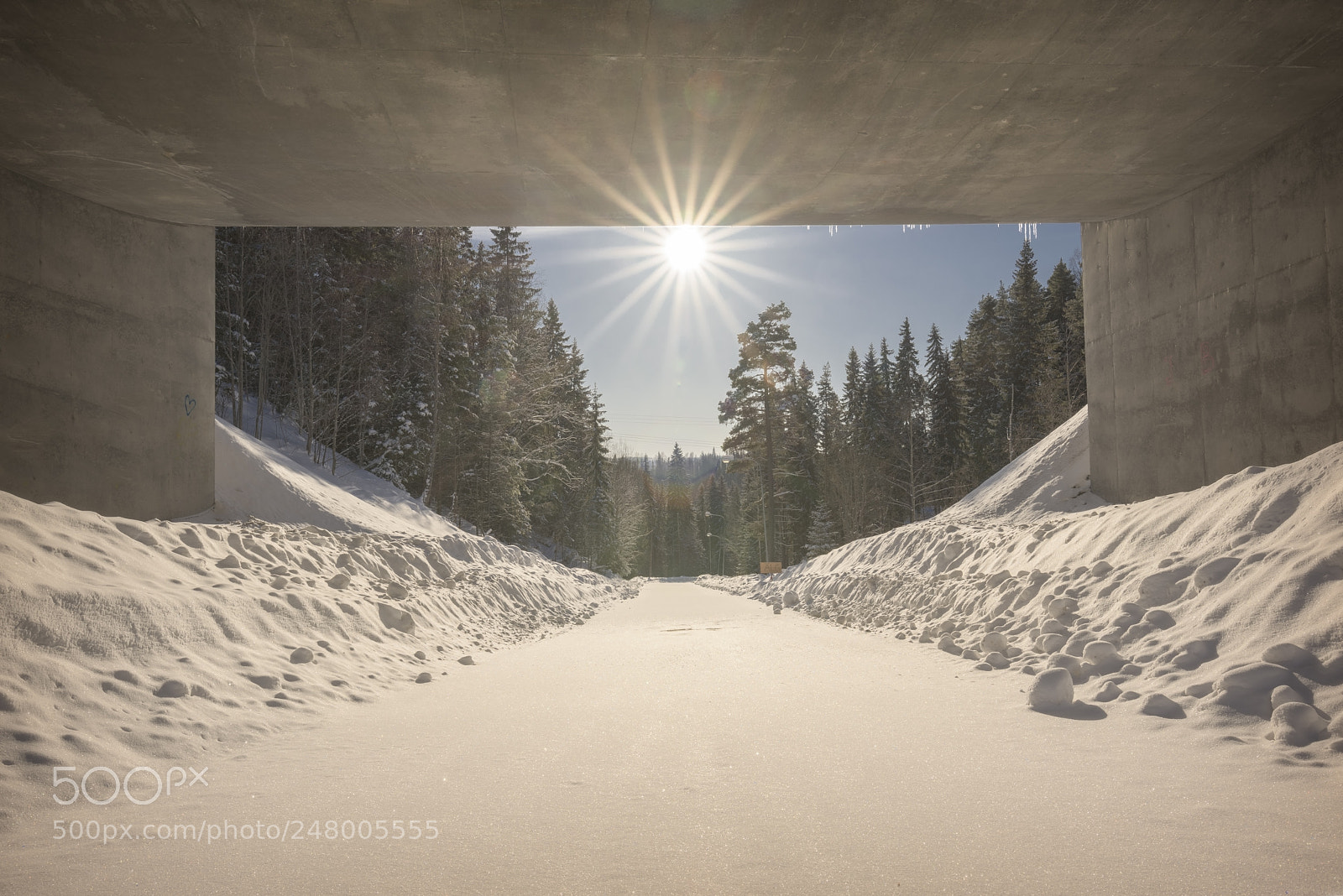 Nikon D810 sample photo. Road and sun beams photography