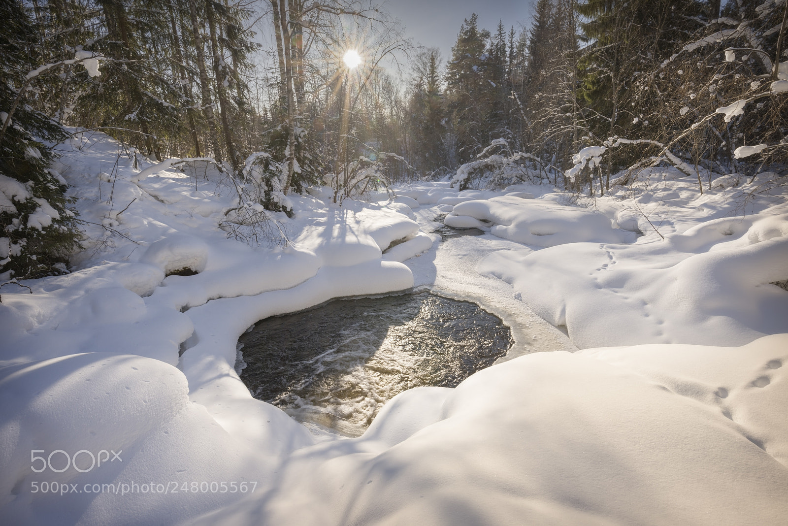 Nikon D810 sample photo. River winter landscape with photography