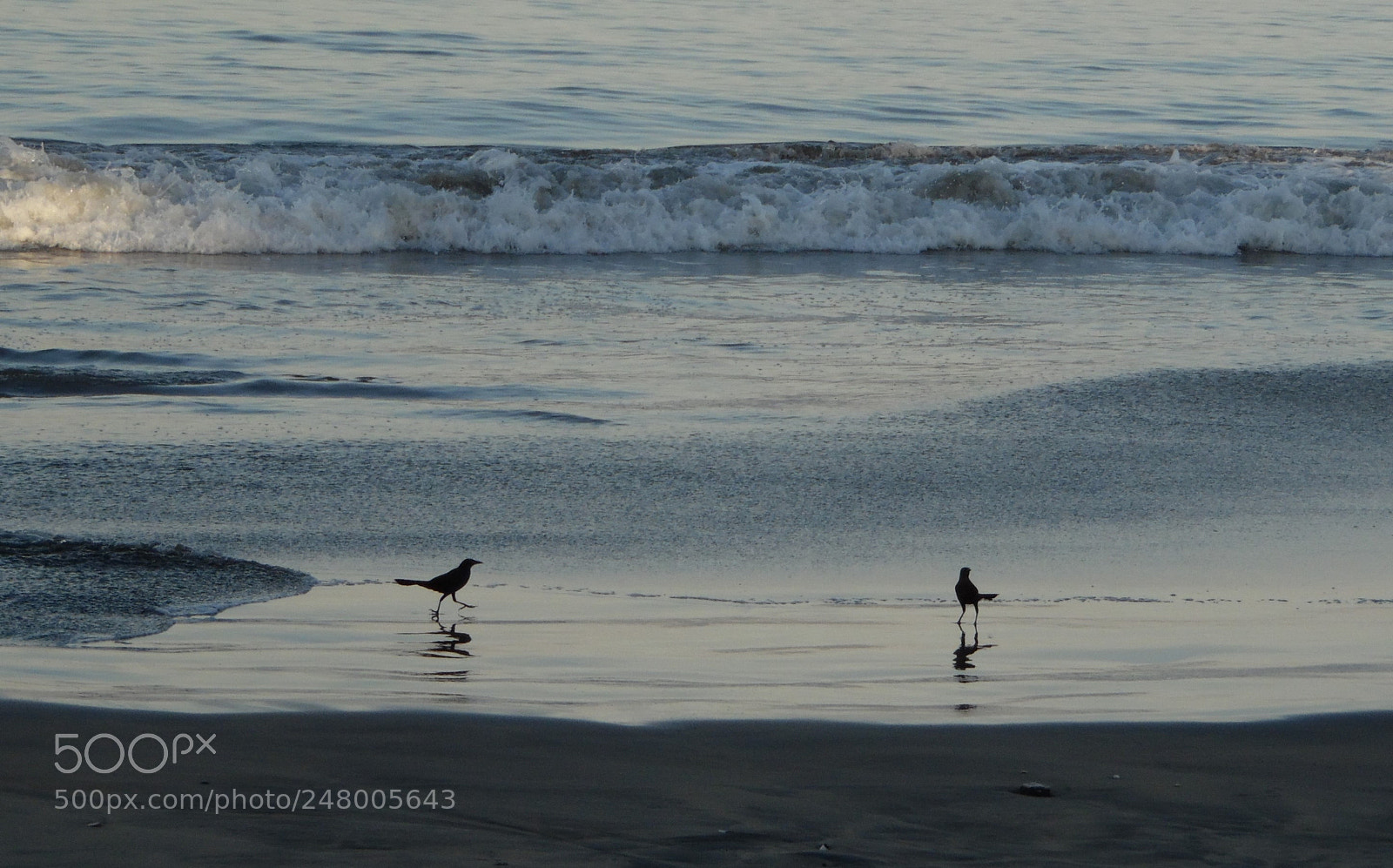 Samsung WB1100F/WB1101F/WB1102F sample photo. "turistas con alas" photography
