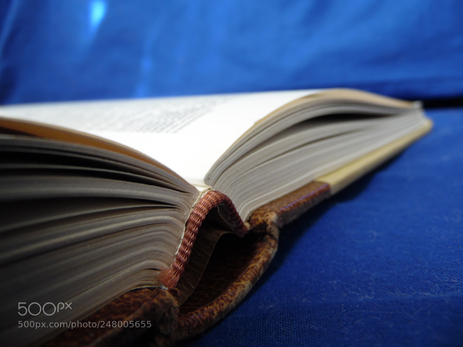 Samsung WB1100F/WB1101F/WB1102F sample photo. Provocan alucinaciones de ideas photography