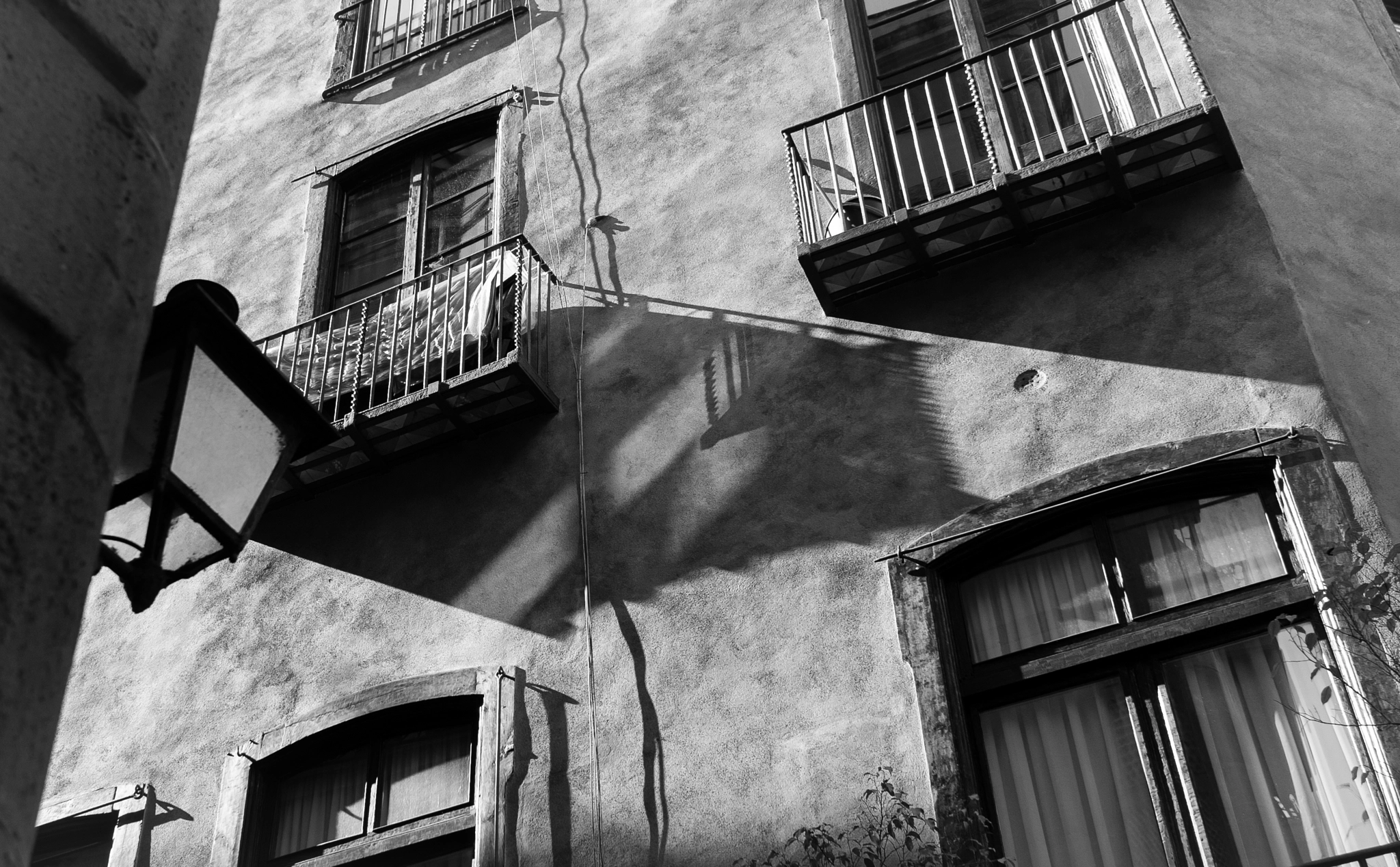 Leica X (Typ 113) sample photo. F photography