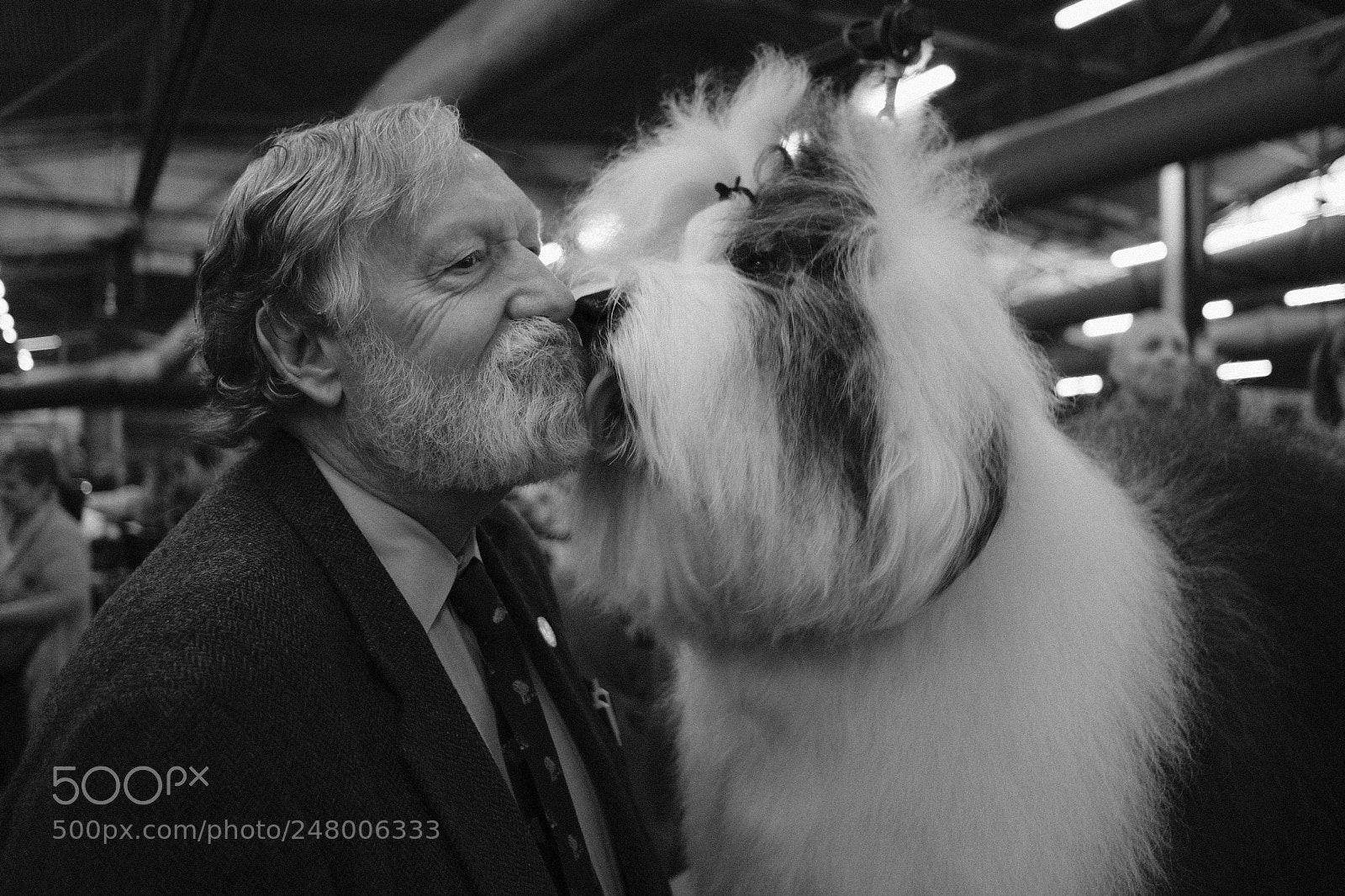 Fujifilm X-T20 sample photo. White beards photography