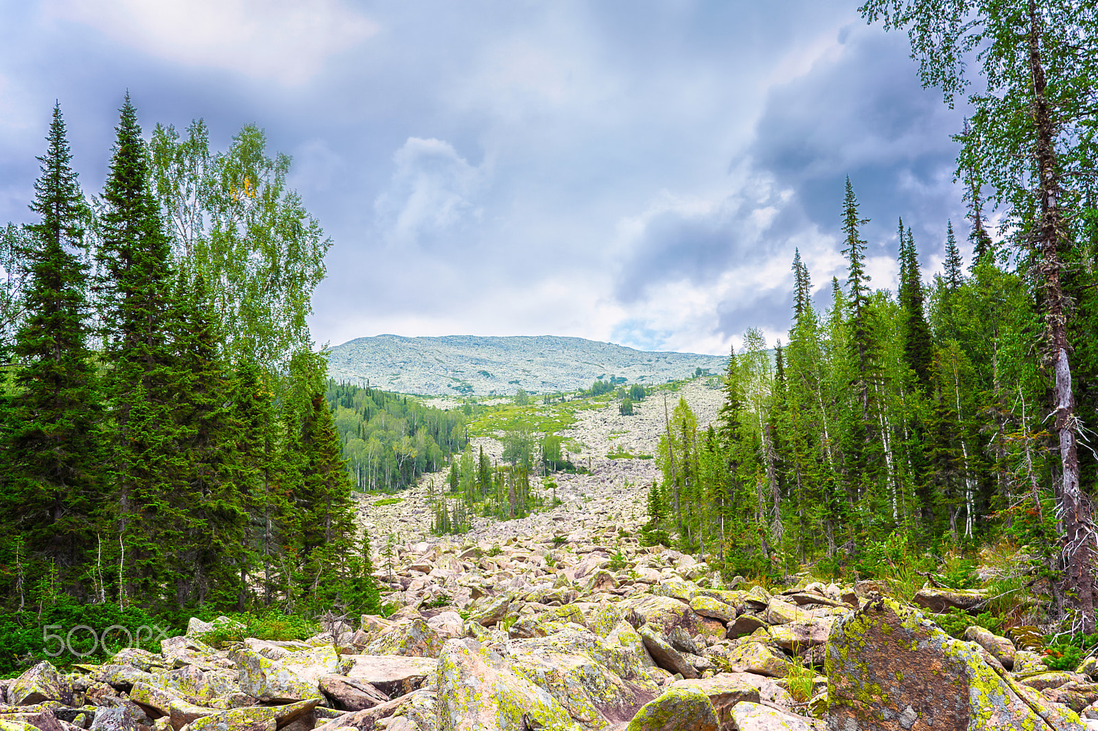 Nikon D5200 sample photo. Conglomeration of rocks in photography