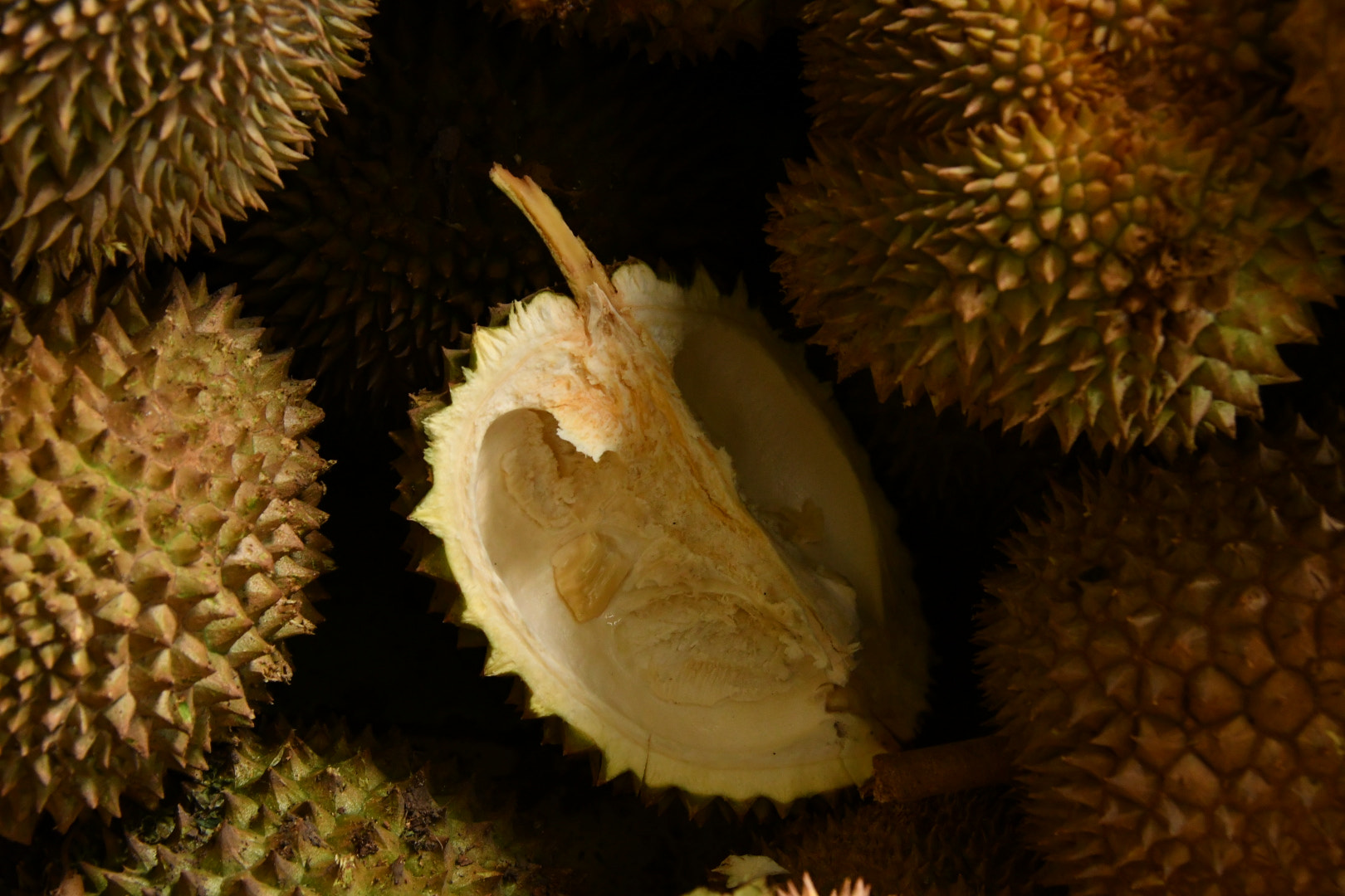 Nikon D500 sample photo. Lost in medan photography