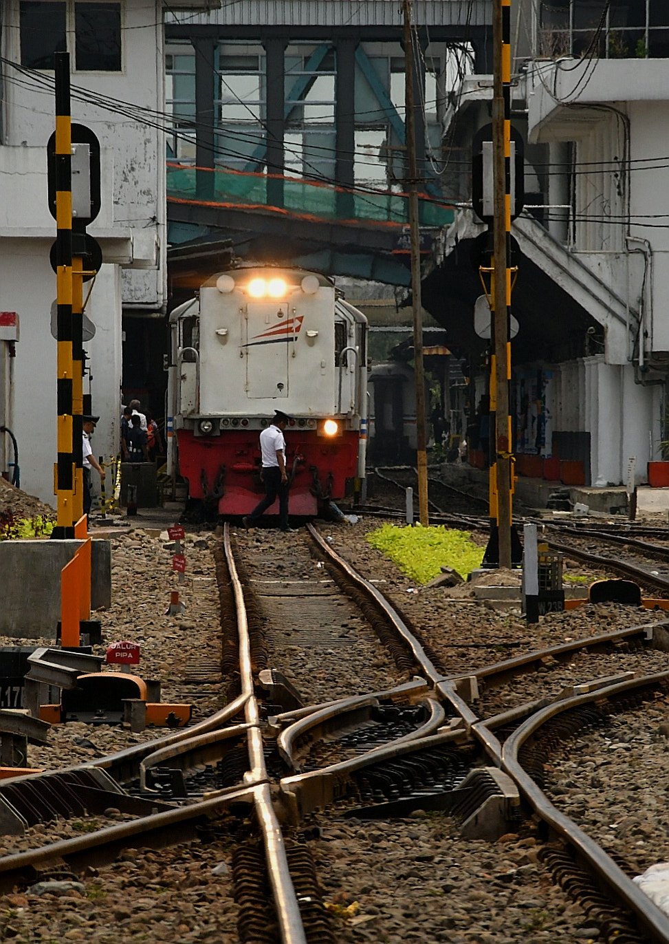 Nikon D500 sample photo. Lost in medan photography