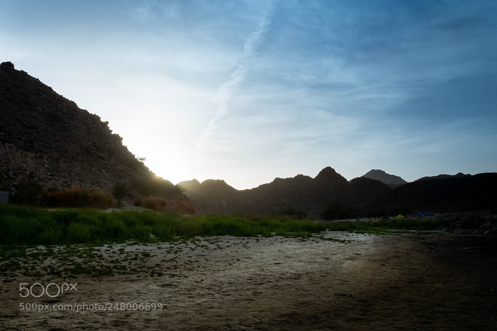Fujifilm X-E1 sample photo. Morning dews photography
