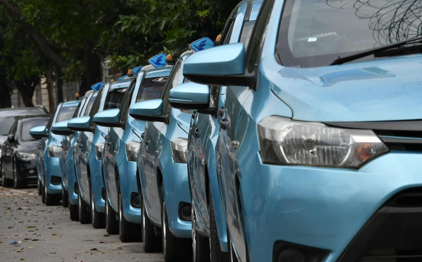 Nikon D500 sample photo. Lost in medan photography