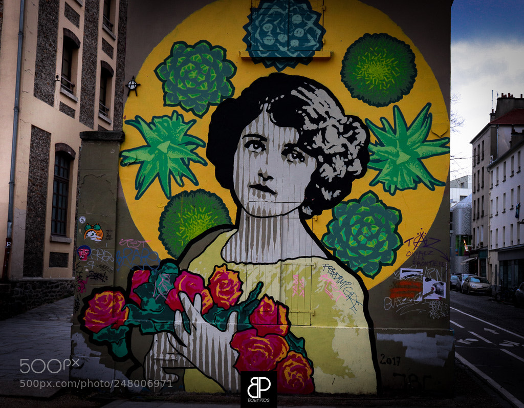 Canon EOS 800D (EOS Rebel T7i / EOS Kiss X9i) sample photo. Street art in paris photography