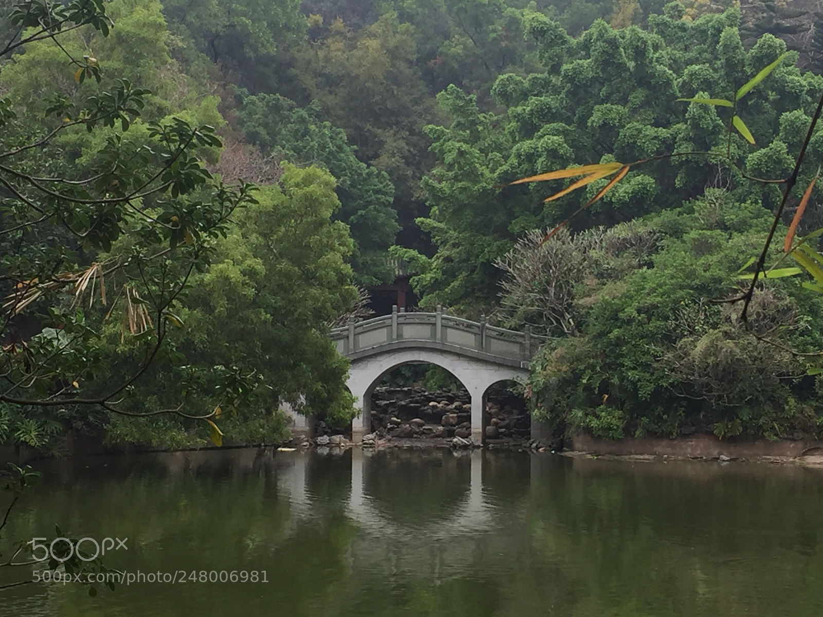 Apple iPhone 6 sample photo. Behind the wood photography