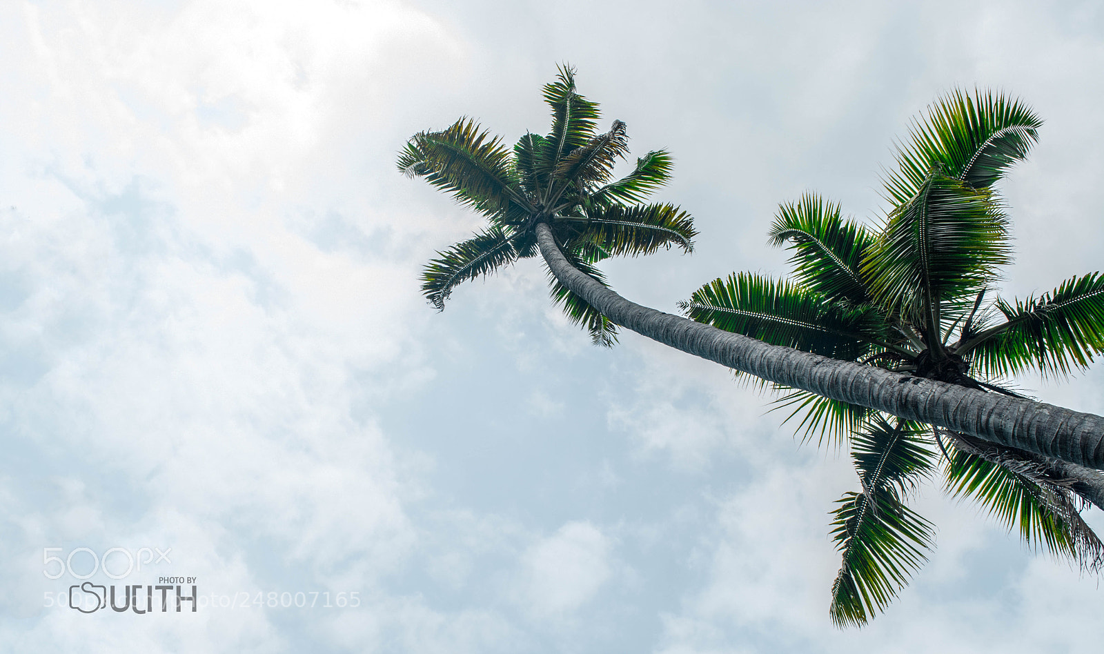 Nikon D5200 sample photo. Sujithphotos () photography