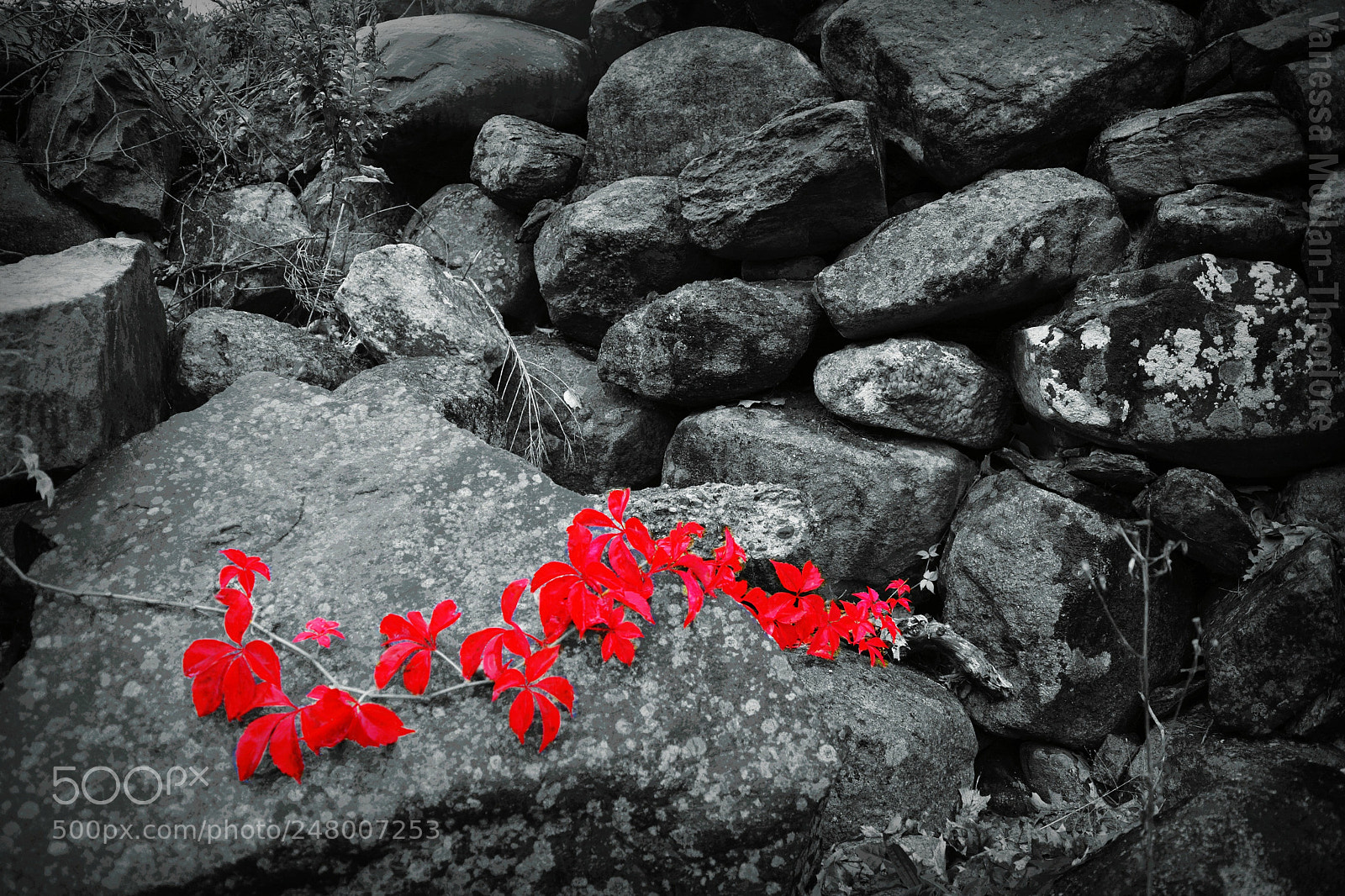 Nikon D5200 sample photo. Taylor mills historic site photography