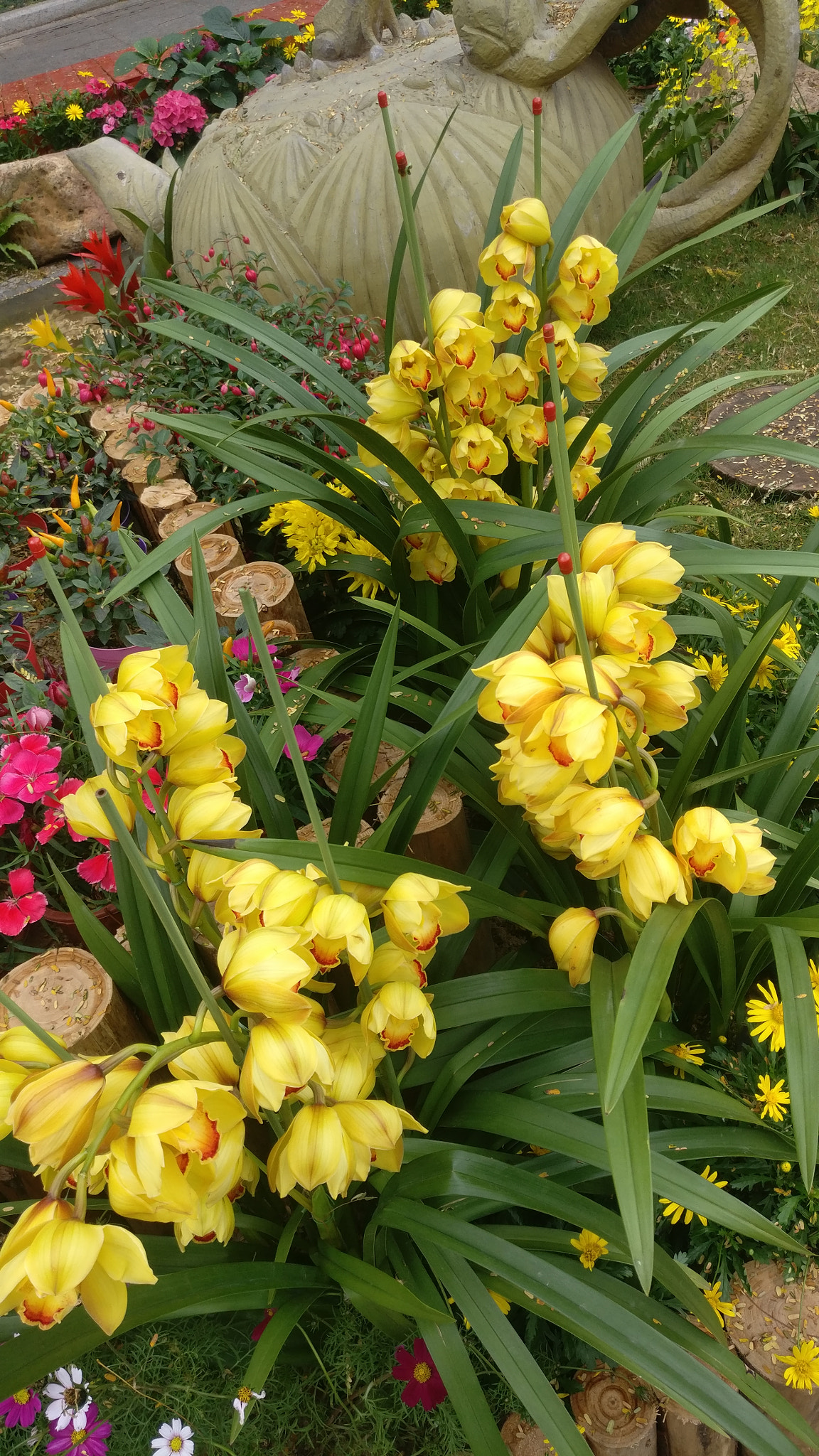 OnePlus A3010 sample photo