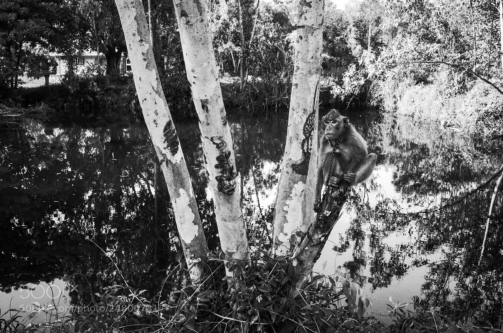 Ricoh GR II sample photo. Kampot, cambodia photography