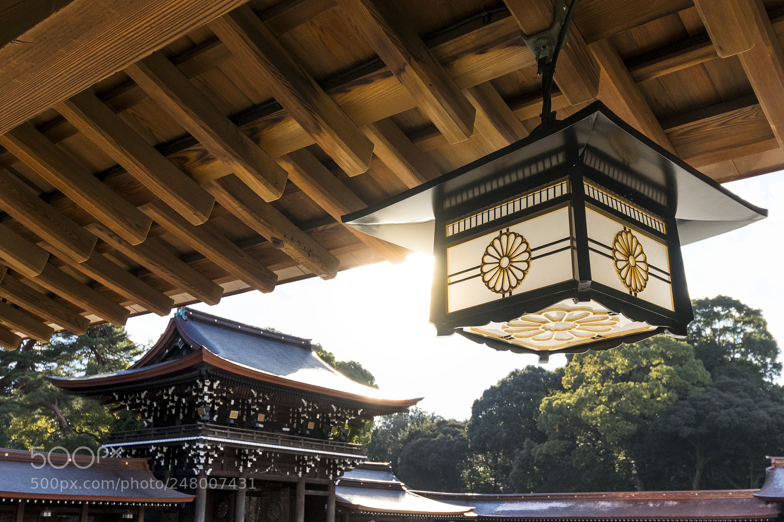 Canon EOS 80D sample photo. Temple on tokyo photography