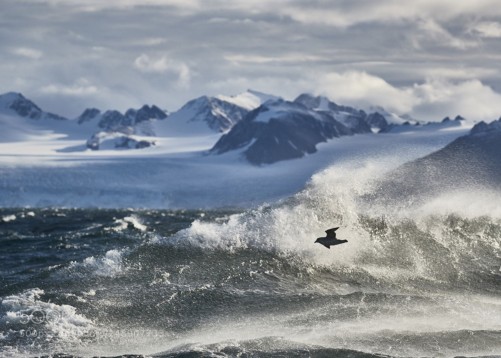 Canon EOS-1D X Mark II sample photo. Sailing in the storm photography