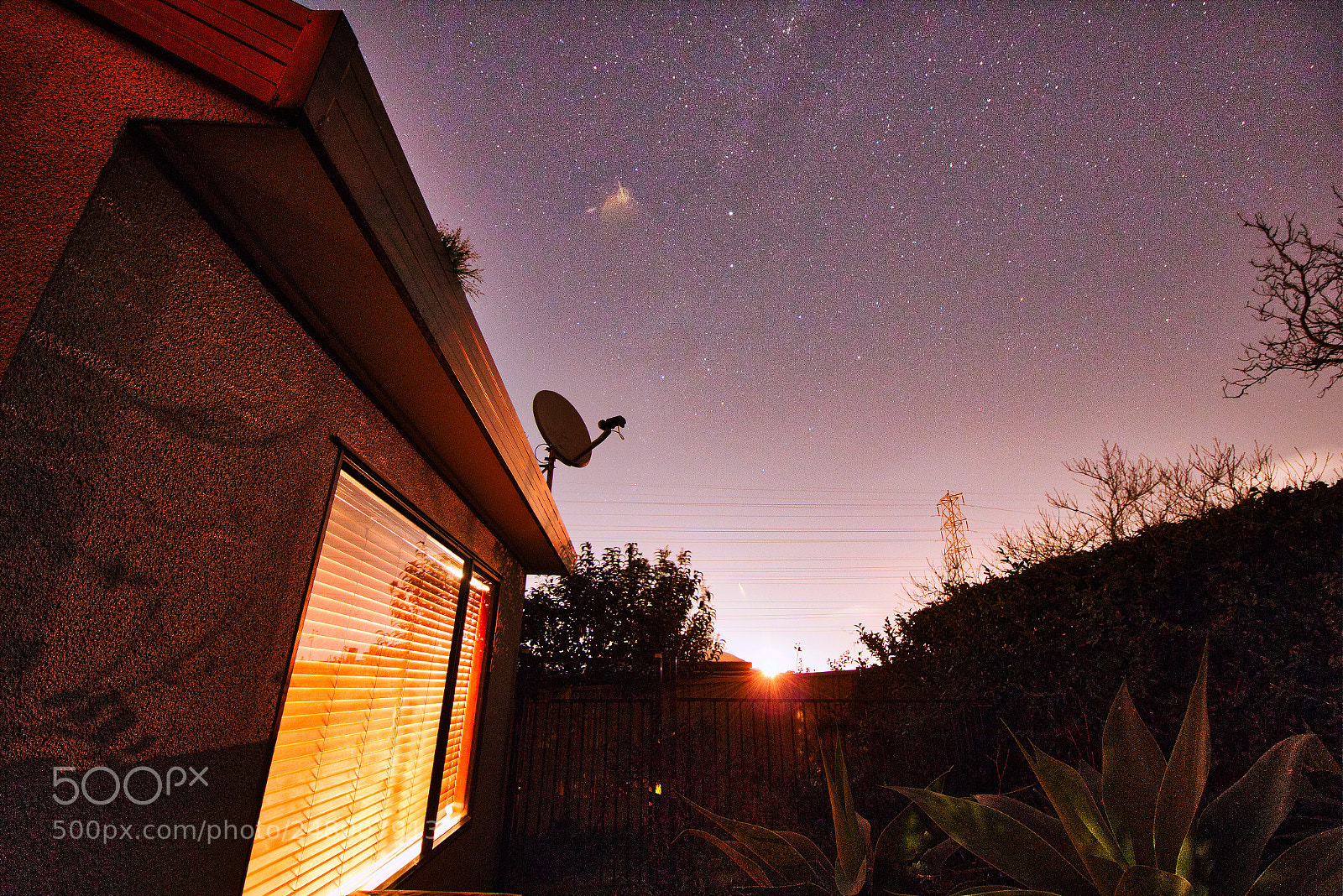 Canon EOS 700D (EOS Rebel T5i / EOS Kiss X7i) sample photo. Auckland backyard sunset photography