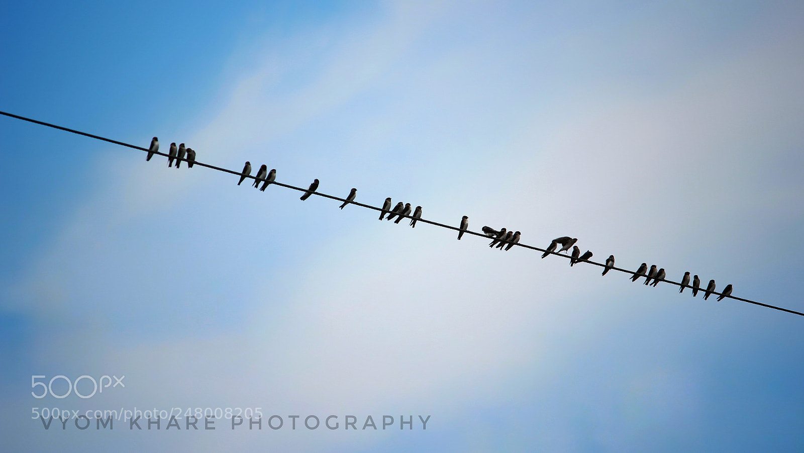 Canon EOS 600D (Rebel EOS T3i / EOS Kiss X5) sample photo. Bird photography