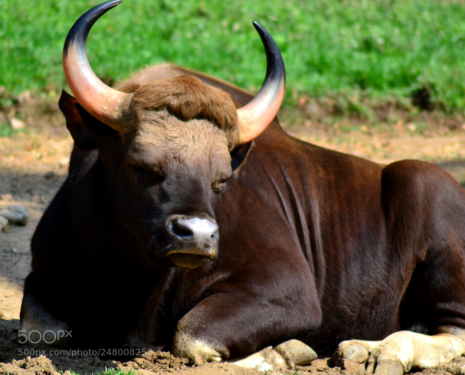 Nikon D3100 sample photo. When mom gets you photography