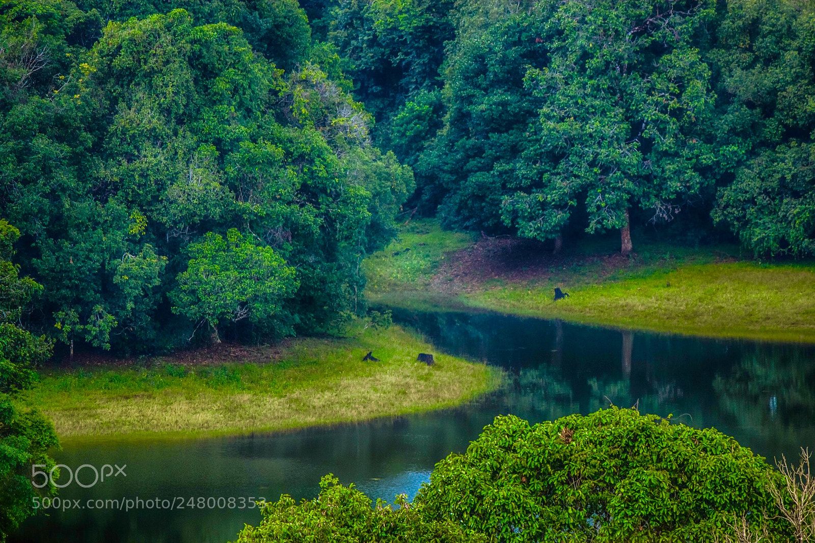 Canon EOS 600D (Rebel EOS T3i / EOS Kiss X5) sample photo. #athirapally photography