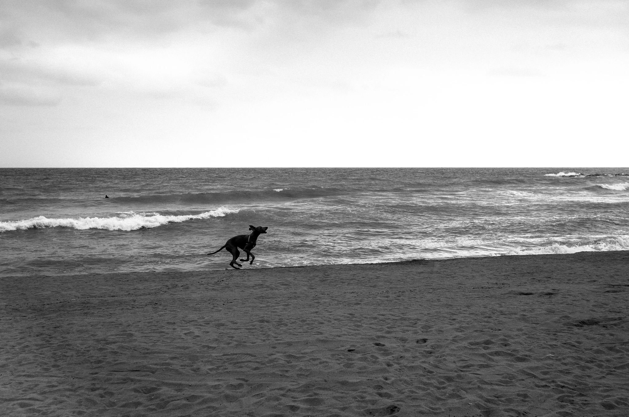 Leica X (Typ 113) sample photo. Help photography