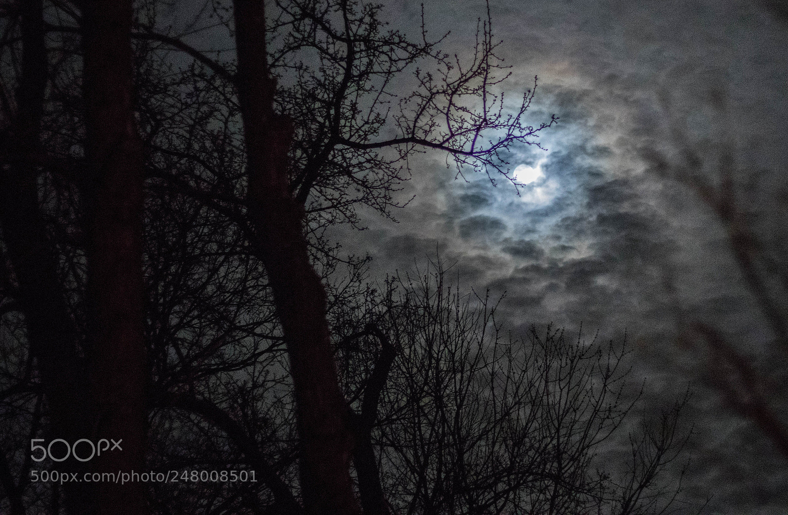 Canon EOS 80D sample photo. Beautiful night photography