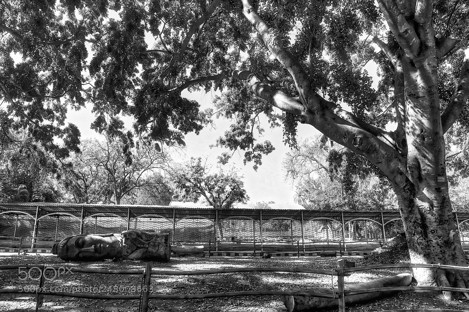 Canon EOS 6D Mark II sample photo. The sleeping buddha photography