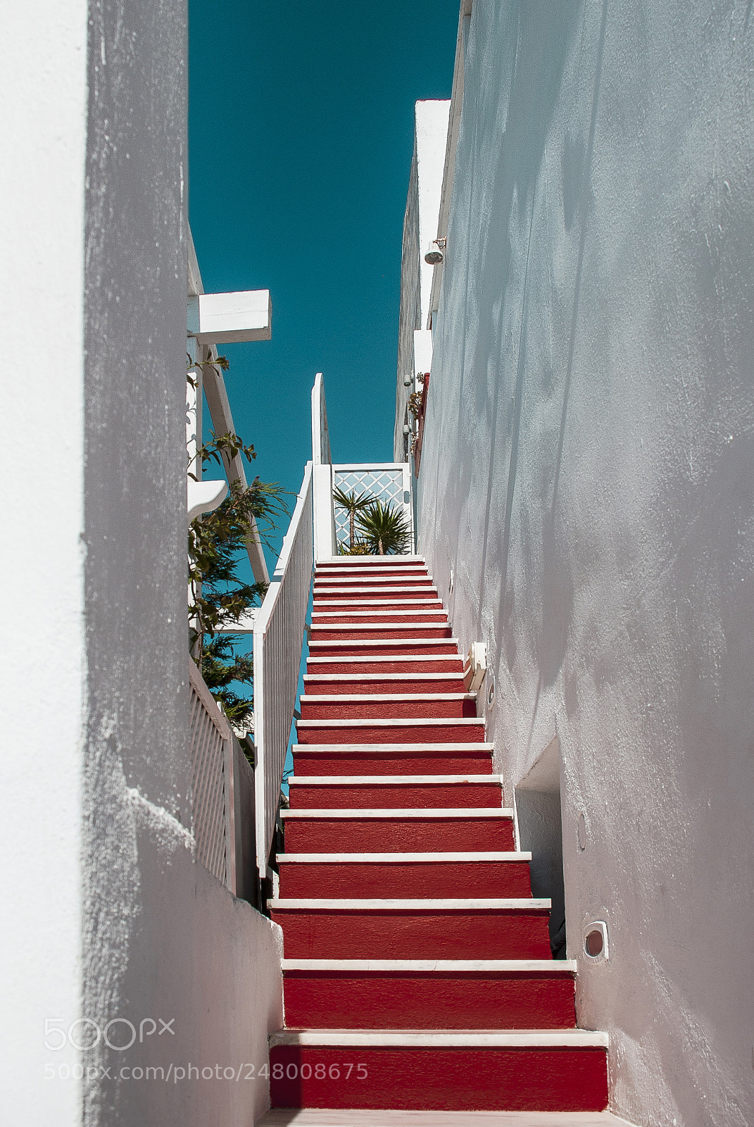 Nikon D80 sample photo. Stairway up photography