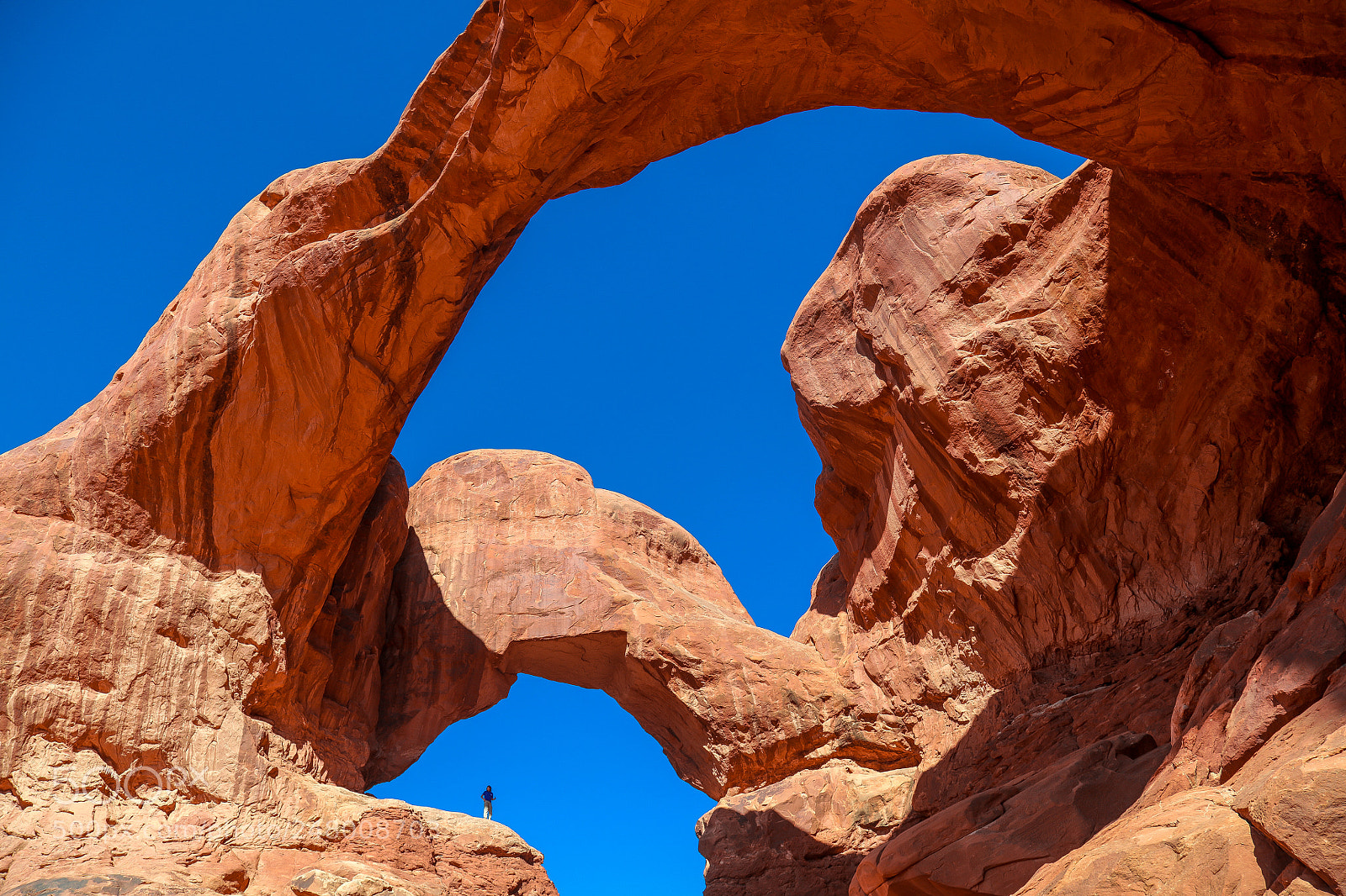 Canon EOS 5DS R sample photo. Looking up at double photography
