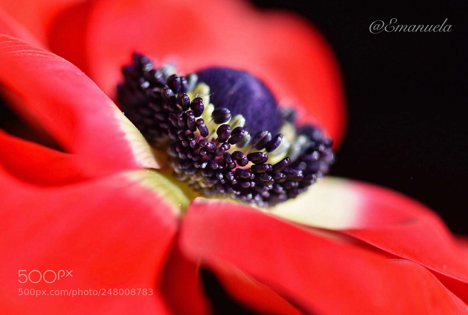 Nikon D7200 sample photo. Untitled photography