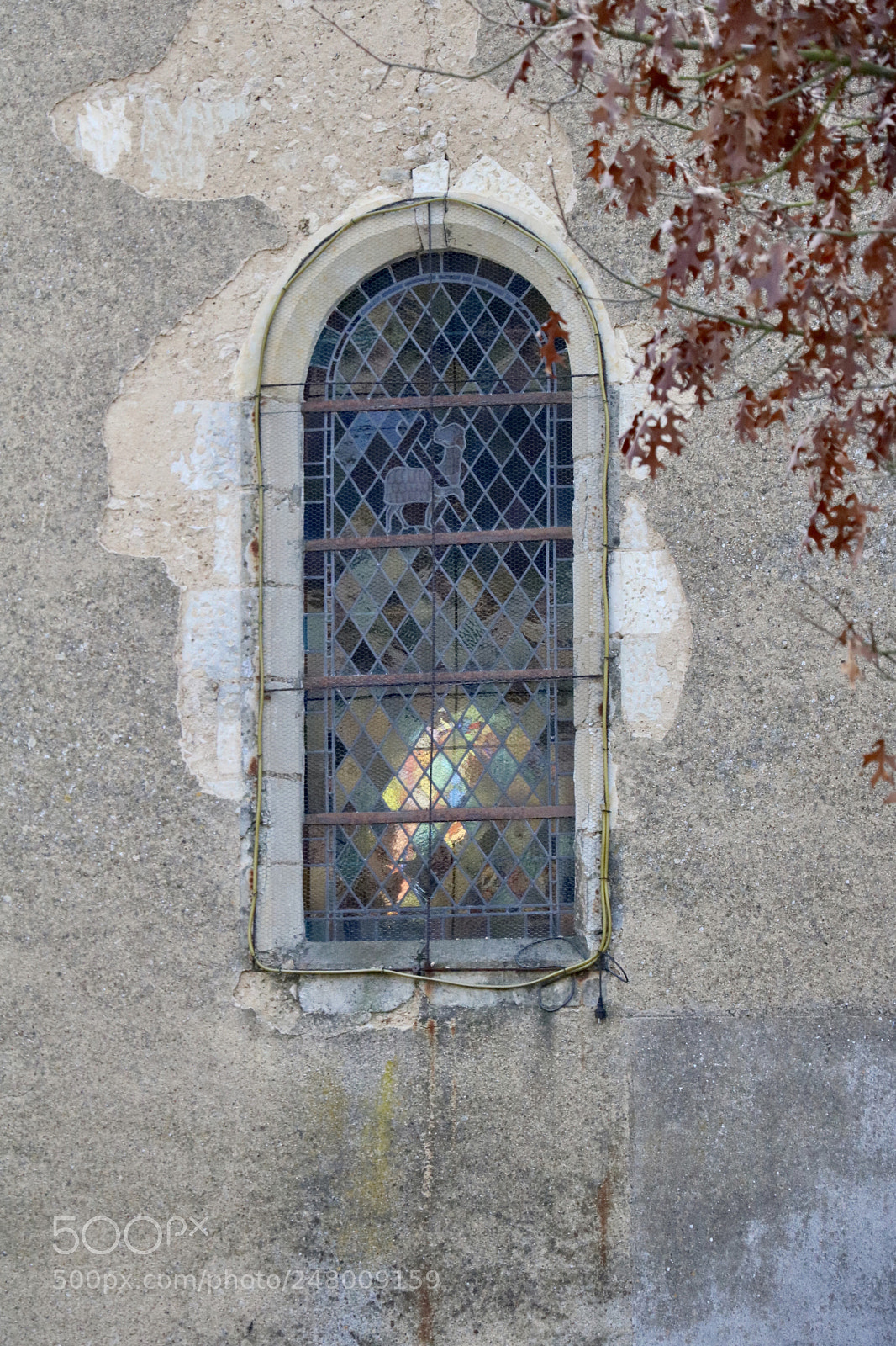 Canon EOS 750D (EOS Rebel T6i / EOS Kiss X8i) sample photo. Chahaignes, 21 février 2018 photography