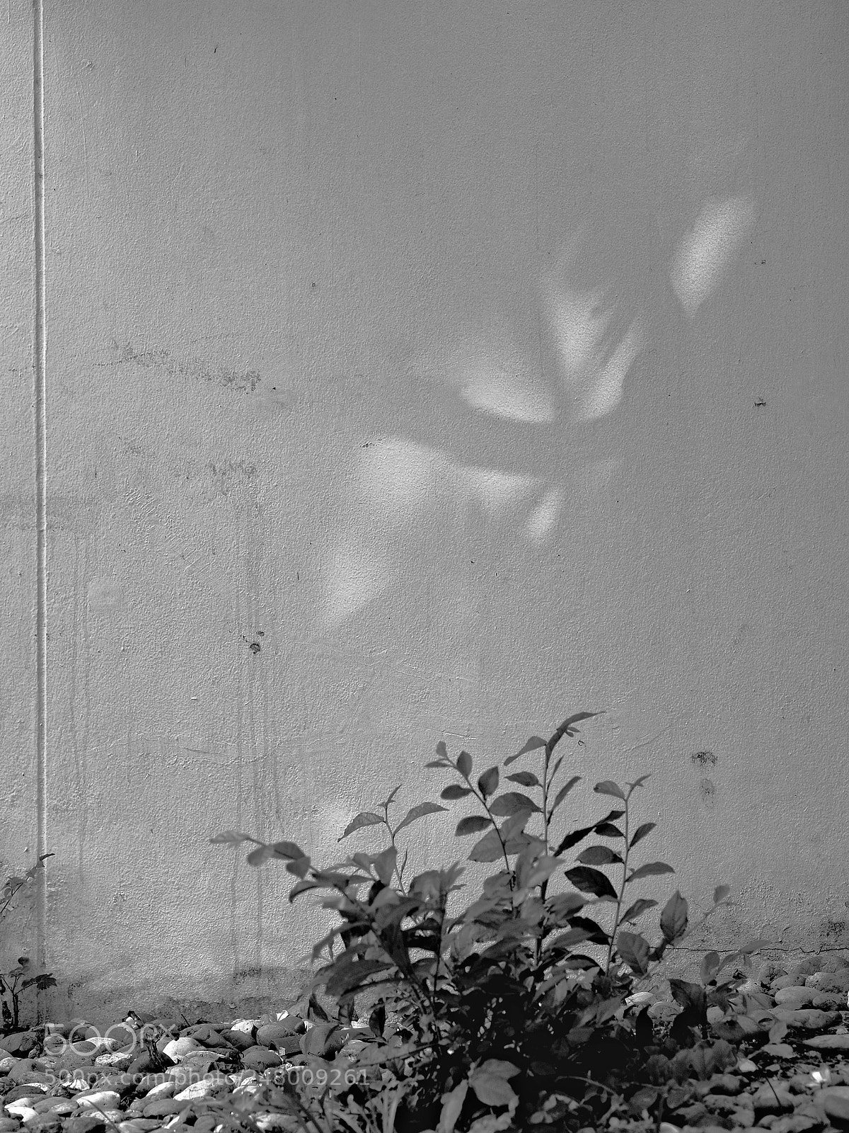 Olympus OM-D E-M5 II sample photo. Olympus digital camera photography