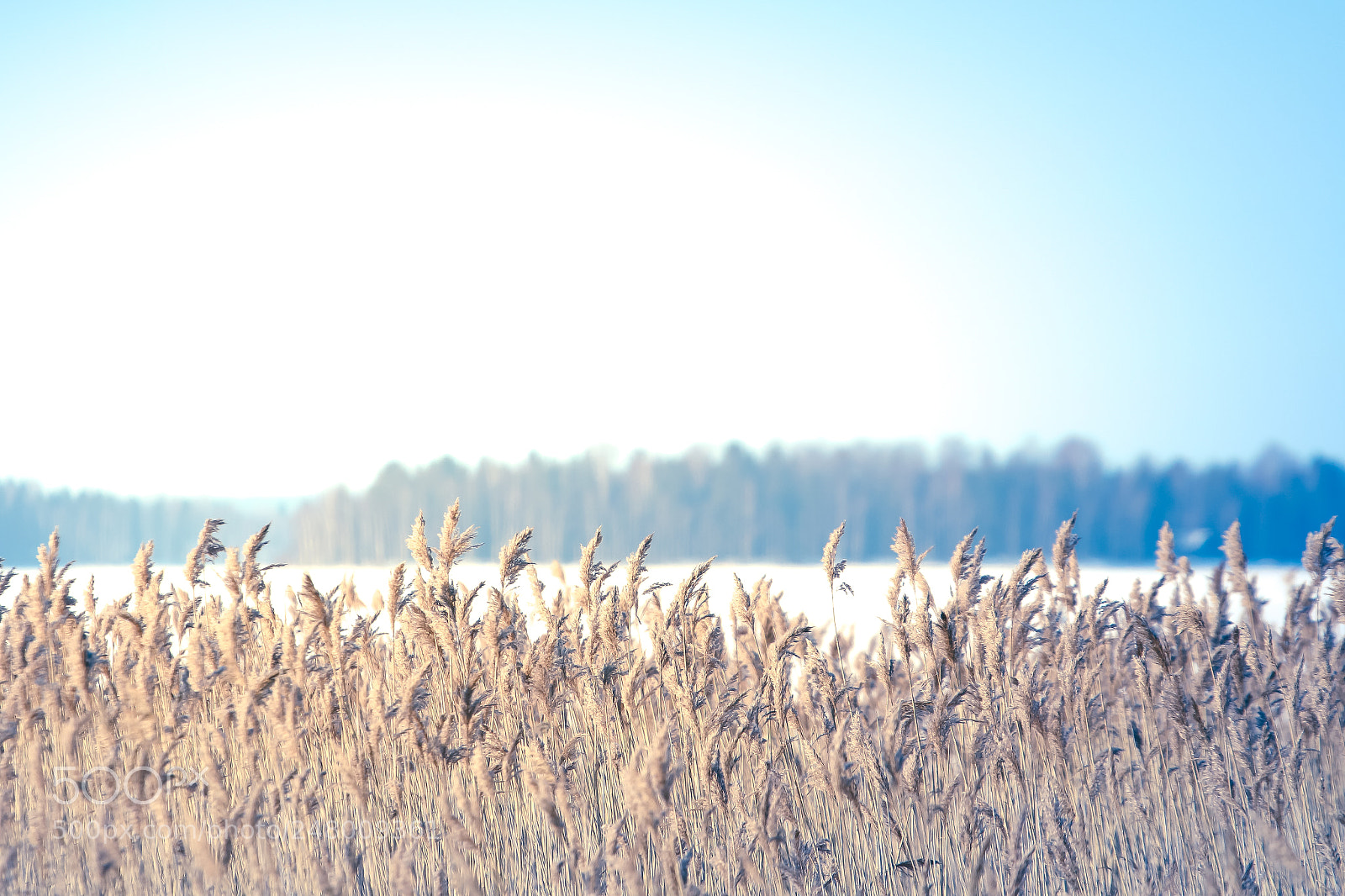 Canon EOS 7D Mark II sample photo. By the lake lappaj photography