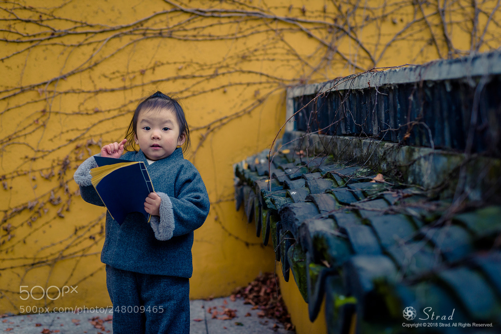 Nikon D810 sample photo. You need to read photography