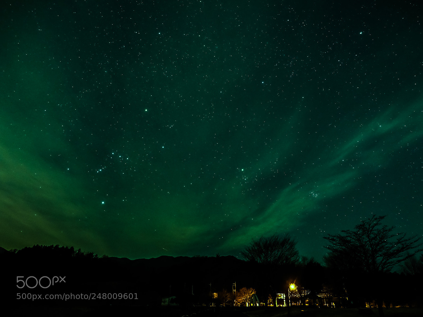 Olympus OM-D E-M1 sample photo. Winter sky(stars) photography