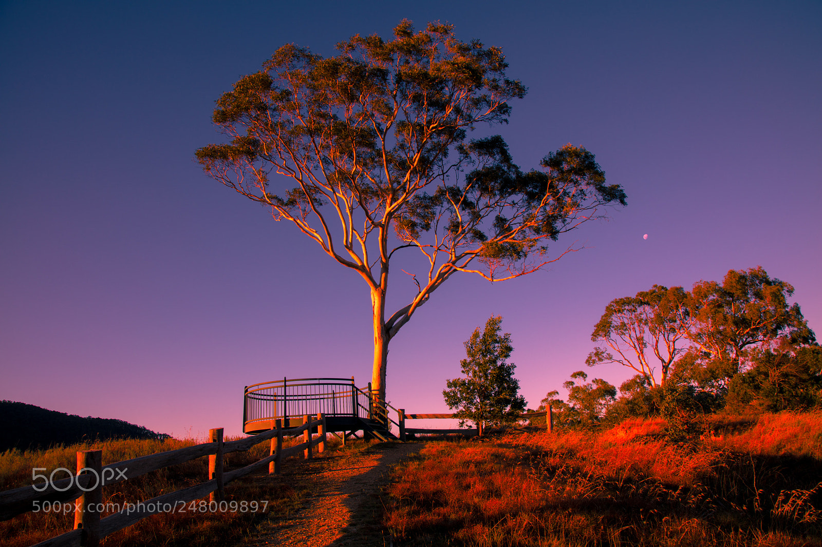 Canon EOS 5DS sample photo. Good afternoon from omeo photography