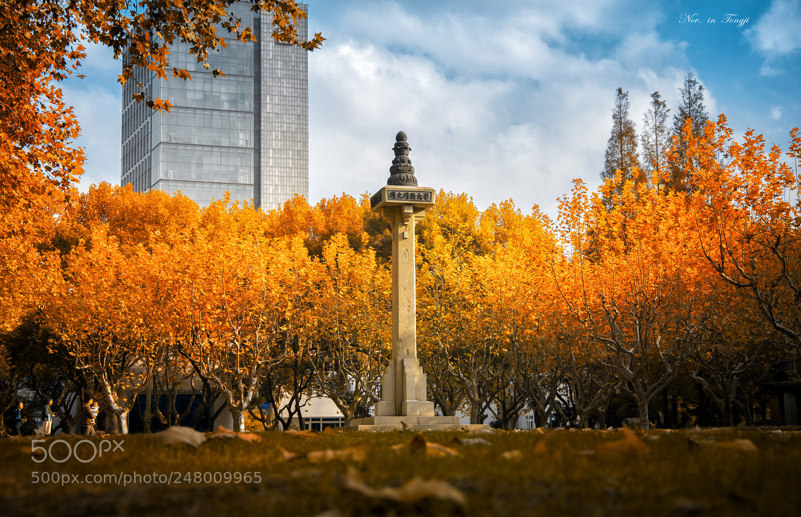 Nikon D5200 sample photo. Nov. in tongji photography