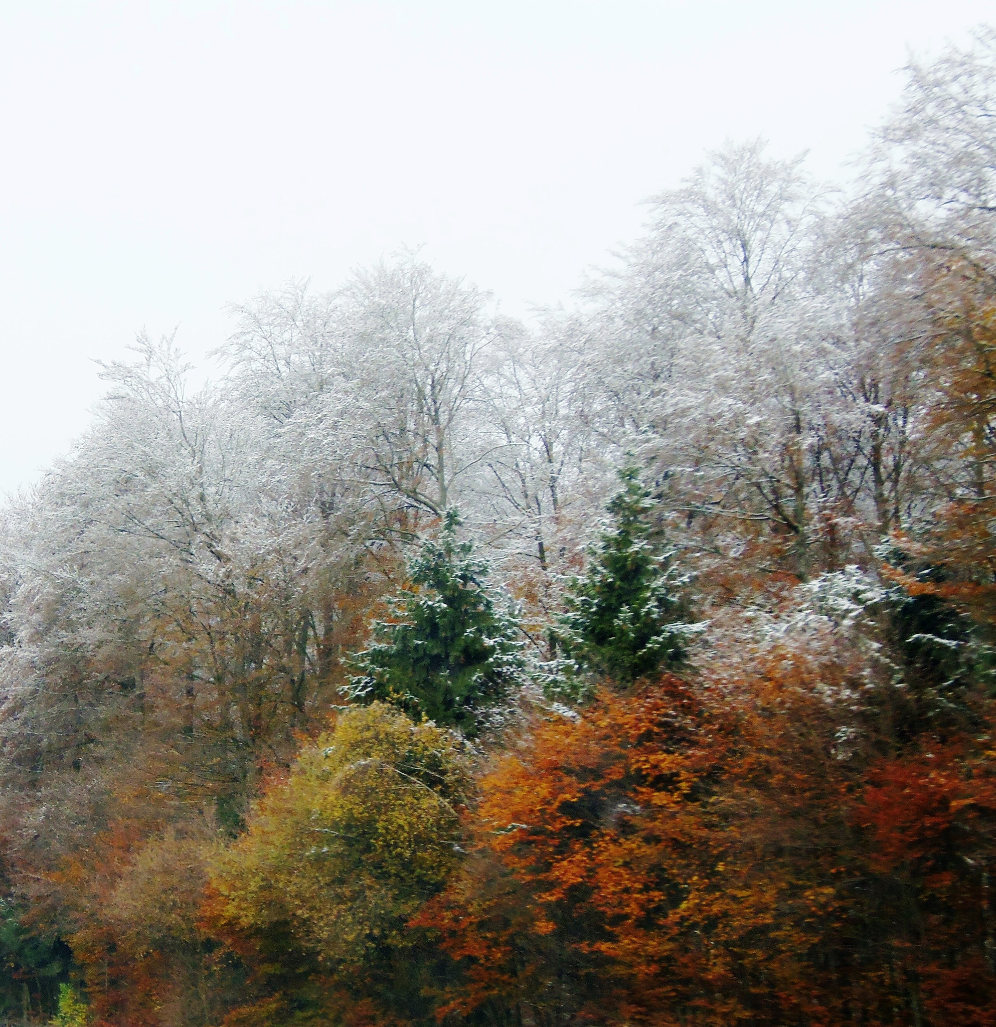 Olympus SP-810UZ sample photo. Winter with colors of autumn photography