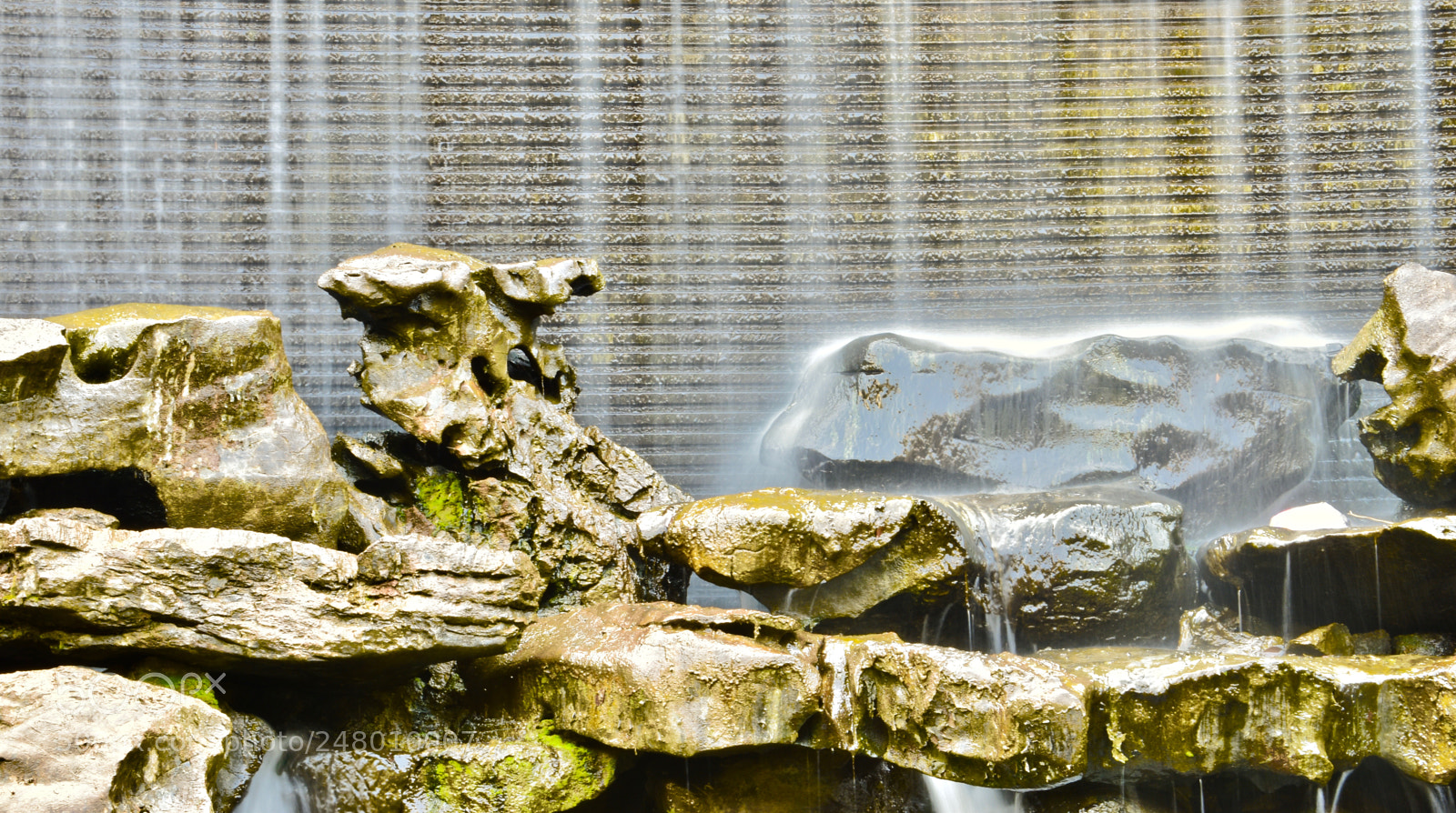 Nikon D5600 sample photo. Sliper photography