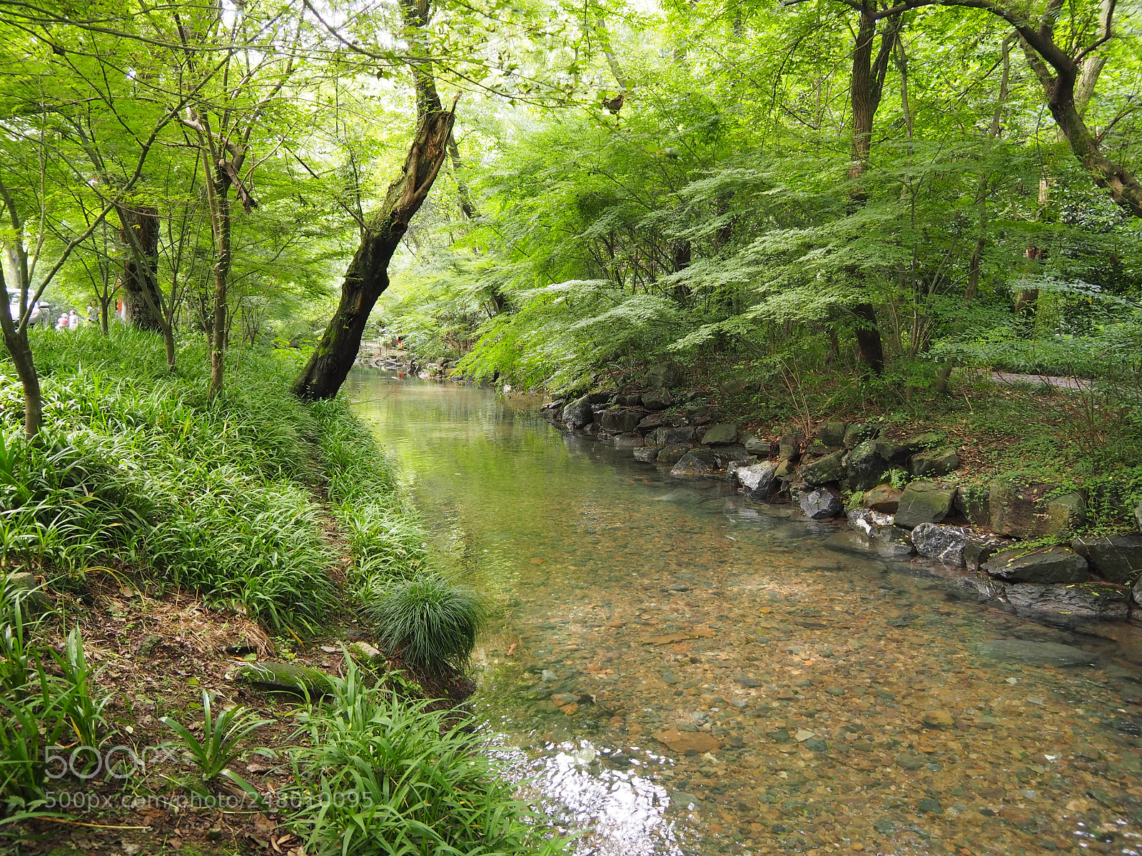 Olympus OM-D E-M10 sample photo. River photography